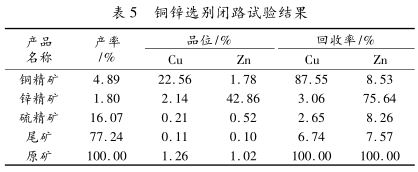 銅鋅閉路實(shí)驗(yàn)結(jié)果
